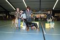 kerstshow 2008 003